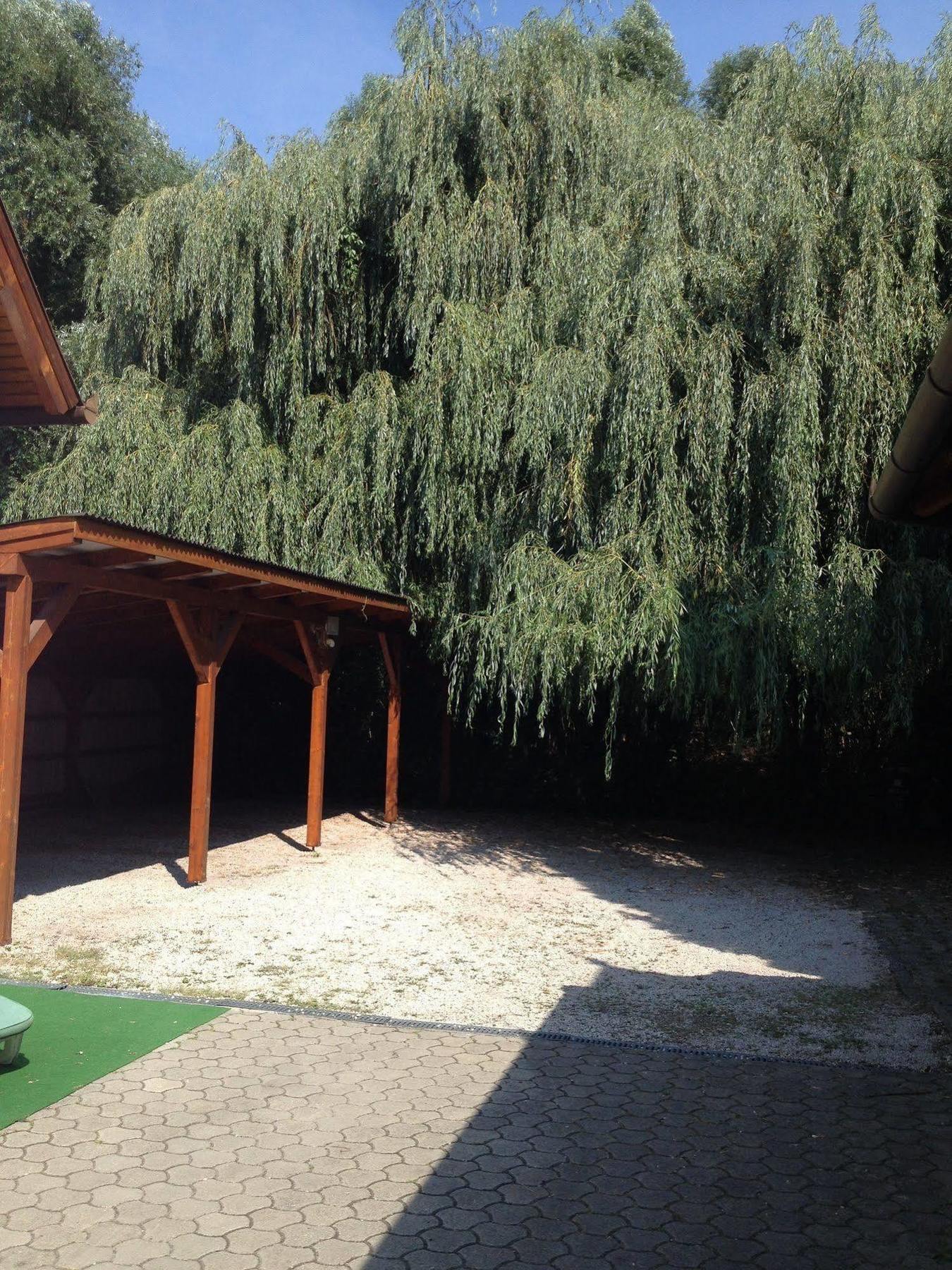 Villa Valeria Hévíz Esterno foto