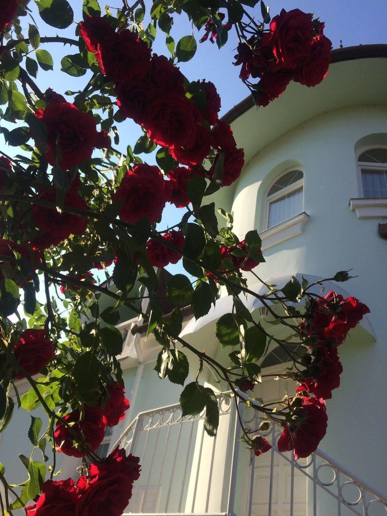 Villa Valeria Hévíz Esterno foto